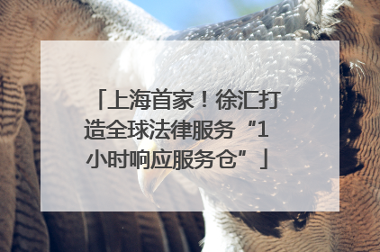 上海首家！徐汇打造全球法律服务“1小时响应服务仓”