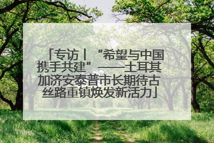 专访丨“希望与中国携手共建”——土耳其加济安泰普市长期待古丝路重镇焕发新活力