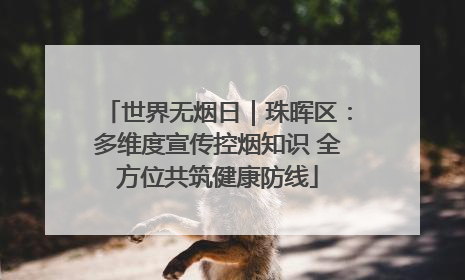 世界无烟日｜珠晖区：多维度宣传控烟知识 全方位共筑健康防线