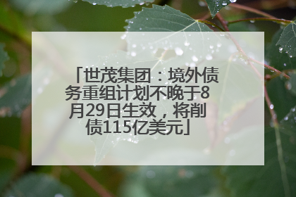 世茂集团：境外债务重组计划不晚于8月29日生效，将削债115亿美元