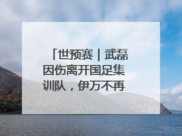 世预赛｜武磊因伤离开国足集训队，伊万不再补招顶替球员