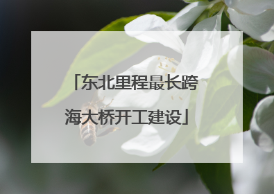 东北里程最长跨海大桥开工建设