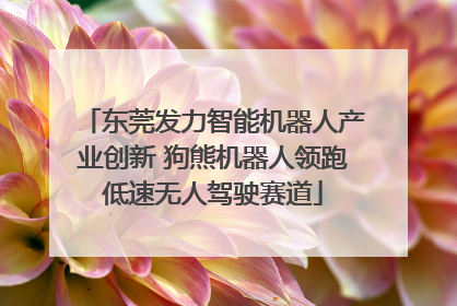 东莞发力智能机器人产业创新 狗熊机器人领跑低速无人驾驶赛道