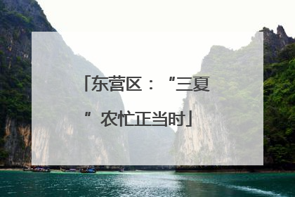 东营区：“三夏”农忙正当时