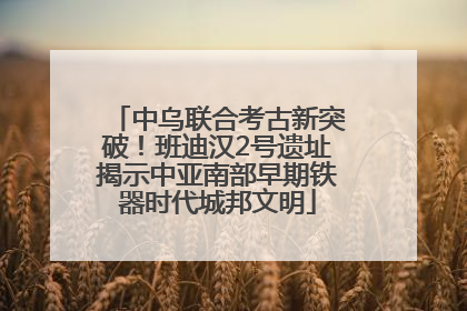 中乌联合考古新突破！班迪汉2号遗址揭示中亚南部早期铁器时代城邦文明