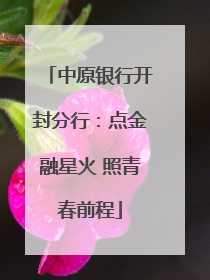 中原银行开封分行：点金融星火 照青春前程