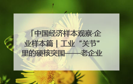 中国经济样本观察·企业样本篇｜工业“关节”里的硬核突围——老企业洛轴创新蝶变启示录