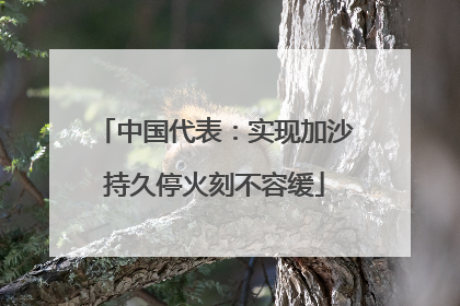 中国代表：实现加沙持久停火刻不容缓
