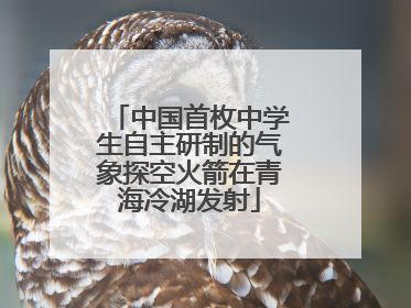 中国首枚中学生自主研制的气象探空火箭在青海冷湖发射