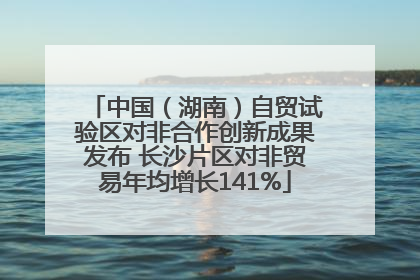 中国（湖南）自贸试验区对非合作创新成果发布 长沙片区对非贸易年均增长141%