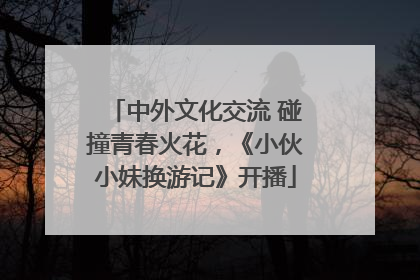 中外文化交流 碰撞青春火花，《小伙小妹换游记》开播