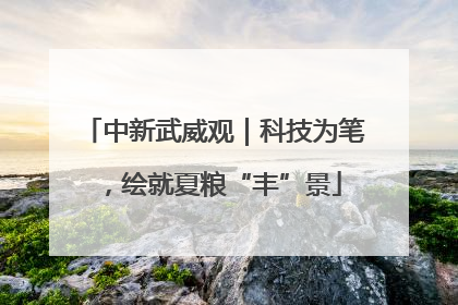 中新武威观｜科技为笔，绘就夏粮“丰”景