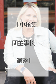 中核集团董事长调整