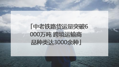 中老铁路货运量突破6000万吨 跨境运输商品种类达3000余种