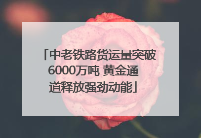 中老铁路货运量突破6000万吨 黄金通道释放强劲动能