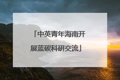 中英青年海南开展蓝碳科研交流