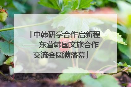 中韩研学合作启新程——东营韩国文旅合作交流会圆满落幕
