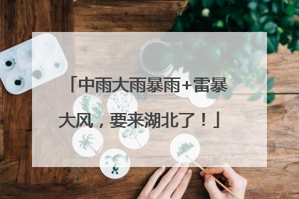 中雨大雨暴雨+雷暴大风，要来湖北了！