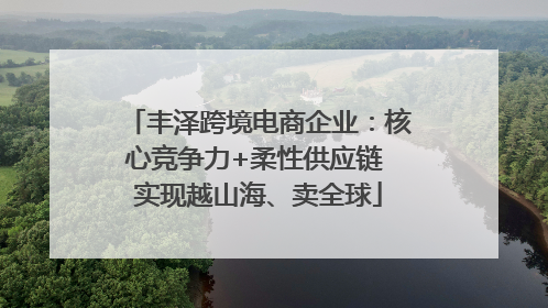 丰泽跨境电商企业：核心竞争力+柔性供应链 实现越山海、卖全球