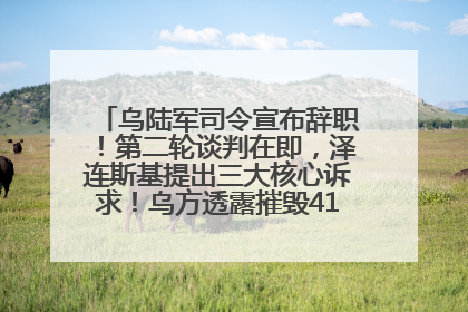 乌陆军司令宣布辞职！第二轮谈判在即，泽连斯基提出三大核心诉求！乌方透露摧毁41架俄战略轰炸机