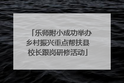 乐师附小成功举办乡村振兴重点帮扶县校长跟岗研修活动