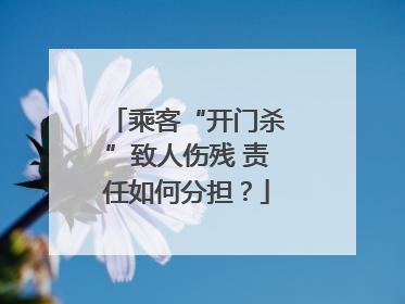 乘客“开门杀”致人伤残 责任如何分担？