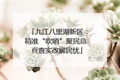 九江八里湖新区：精准“吹哨”聚民意 真查实改解民忧