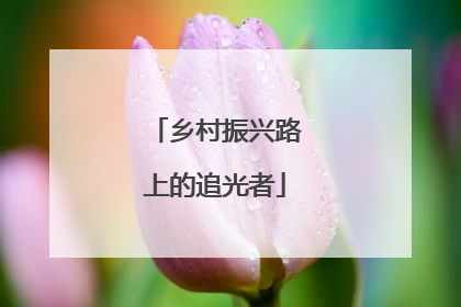 乡村振兴路上的追光者