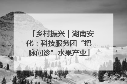 乡村振兴｜湖南安化：科技服务团“把脉问诊”水果产业