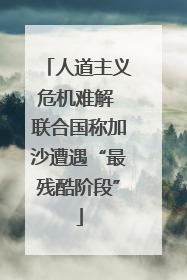 人道主义危机难解 联合国称加沙遭遇“最残酷阶段”