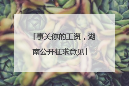 事关你的工资，湖南公开征求意见