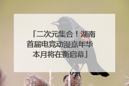 二次元集合！湖南首届电竞动漫嘉年华本月将在衡启幕
