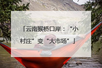 云南猴桥口岸：“小村庄”变“大市场”