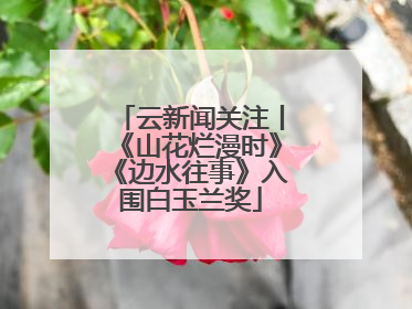 云新闻关注丨《山花烂漫时》《边水往事》入围白玉兰奖