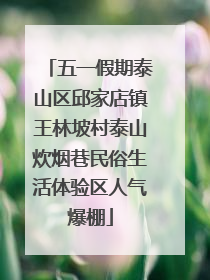 五一假期泰山区邱家店镇王林坡村泰山炊烟巷民俗生活体验区人气爆棚