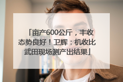 亩产600公斤，丰收态势良好！卫辉：机收比武田现场测产出结果
