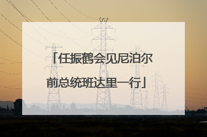 任振鹤会见尼泊尔前总统班达里一行