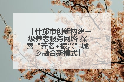 什邡市创新构建三级养老服务网络 探索“养老+振兴”城乡融合新模式