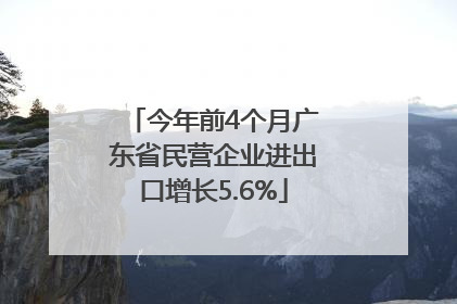 今年前4个月广东省民营企业进出口增长5.6%