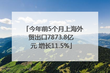 今年前5个月上海外贸出口7873.8亿元 增长11.5%
