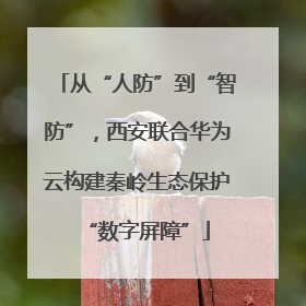从“人防”到“智防”，西安联合华为云构建秦岭生态保护“数字屏障”