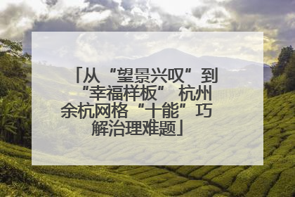 从“望景兴叹”到“幸福样板” 杭州余杭网格“十能”巧解治理难题