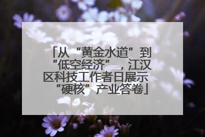 从“黄金水道”到“低空经济”，江汉区科技工作者日展示“硬核”产业答卷