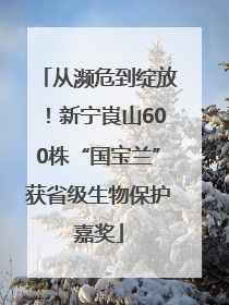 从濒危到绽放！新宁崀山600株“国宝兰”获省级生物保护嘉奖