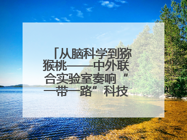 从脑科学到猕猴桃——中外联合实验室奏响“一带一路”科技合作交响曲