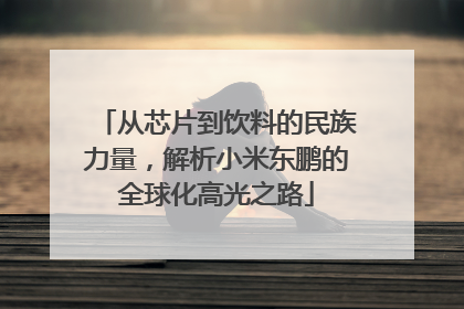 从芯片到饮料的民族力量，解析小米东鹏的全球化高光之路