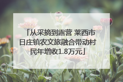 从采摘到露营 莱西市日庄镇农文旅融合带动村民年增收1.8万元