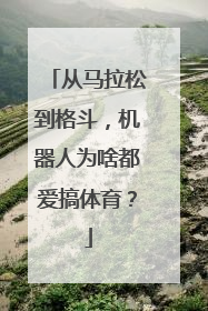 从马拉松到格斗，机器人为啥都爱搞体育？