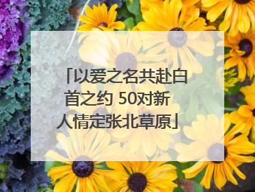 以爱之名共赴白首之约 50对新人情定张北草原