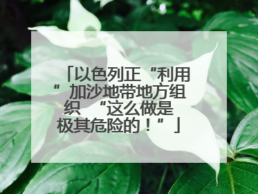 以色列正“利用”加沙地带地方组织  “这么做是极其危险的！”